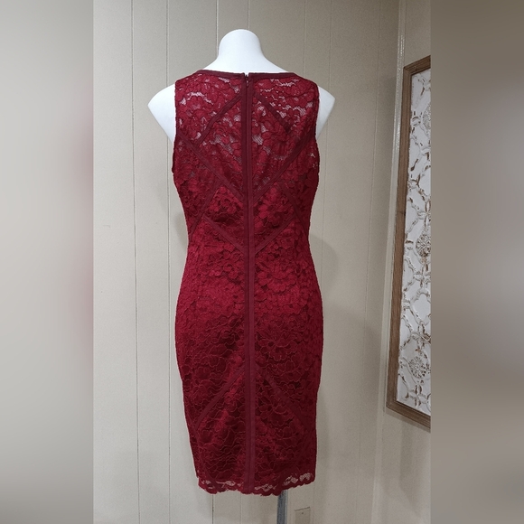 Gorgeous Burgundy Lace Cocktail Dress Sz 12 - Picture 3 of 12
